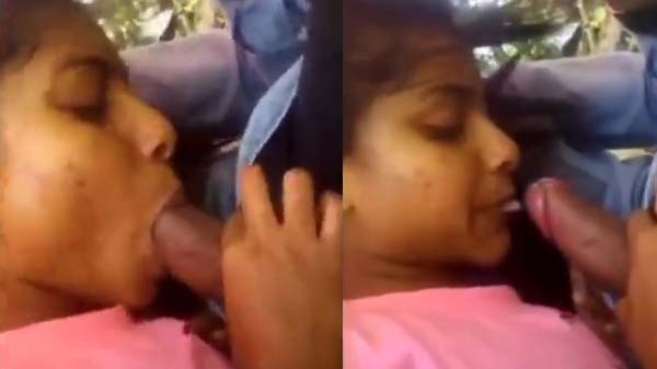 Bihari college girl Sunita ki outdoor blowjob leaked mms clip